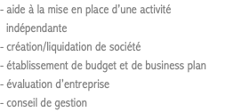- aide à la mise en place d’une activité indépendante - création/liquidation de société - établissement de budget et de business plan - évaluation d’entreprise - conseil de gestion
